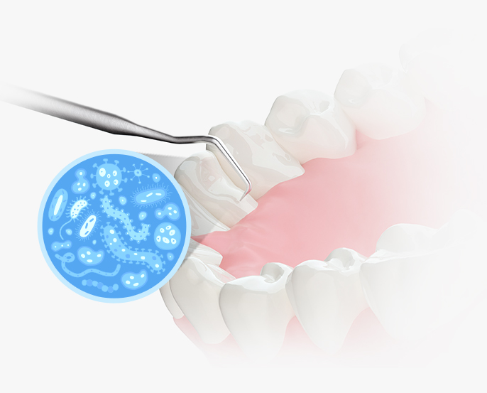 datalCare05_con02_01